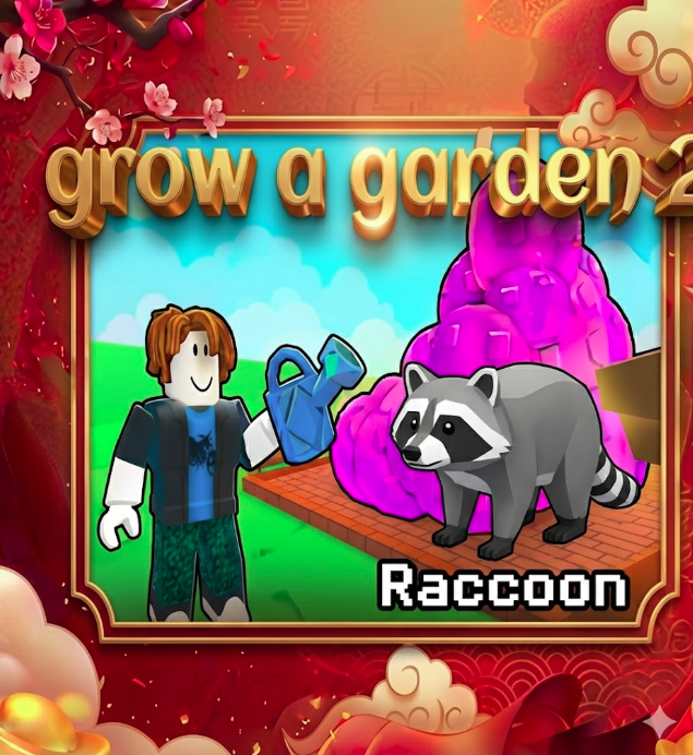 5 raccon